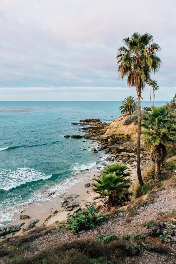 Spend a Day in Laguna Beach!