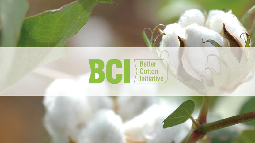 BCI Cotton: Is Your Clothing Safe? 2025 Certification Guide | HYPEACH