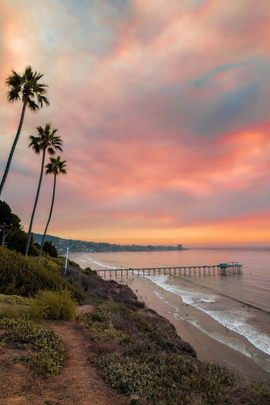 La Jolla Nights: Here's 5 Activities for the Perfect Night-Out