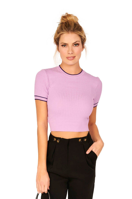 Lavender Short Sleeve Ribbed Crew Neck Contrast Knit Sweater Tops HYPEACH BOUTIQUE 